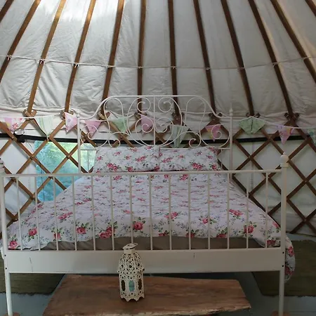 Mill Haven Place Glamping-Yurt 1 Talbenny Exterior photo