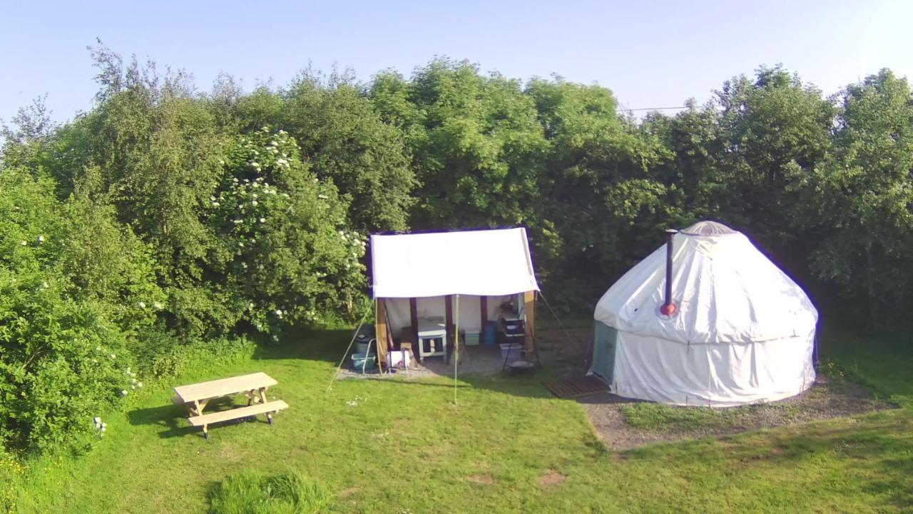 Mill Haven Place Glamping-yurt 1 Luxury tent Talbenny