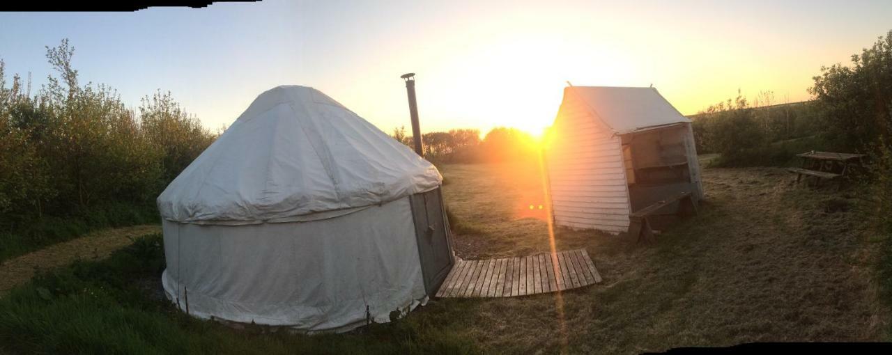 Luxury tent Mill Haven Place Glamping-yurt 1 Talbenny