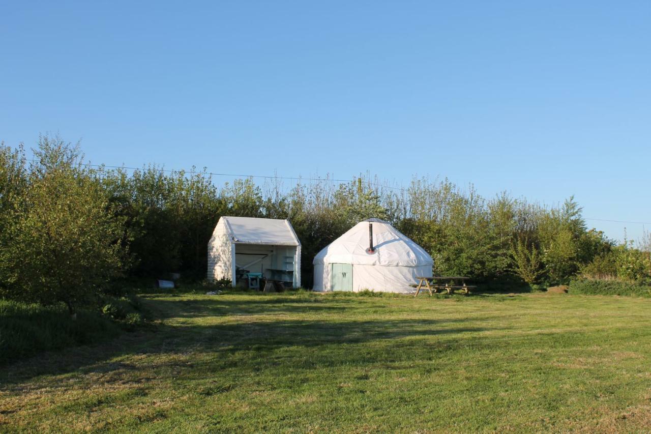 Mill Haven Place Glamping-yurt 1 Luxury tent Talbenny