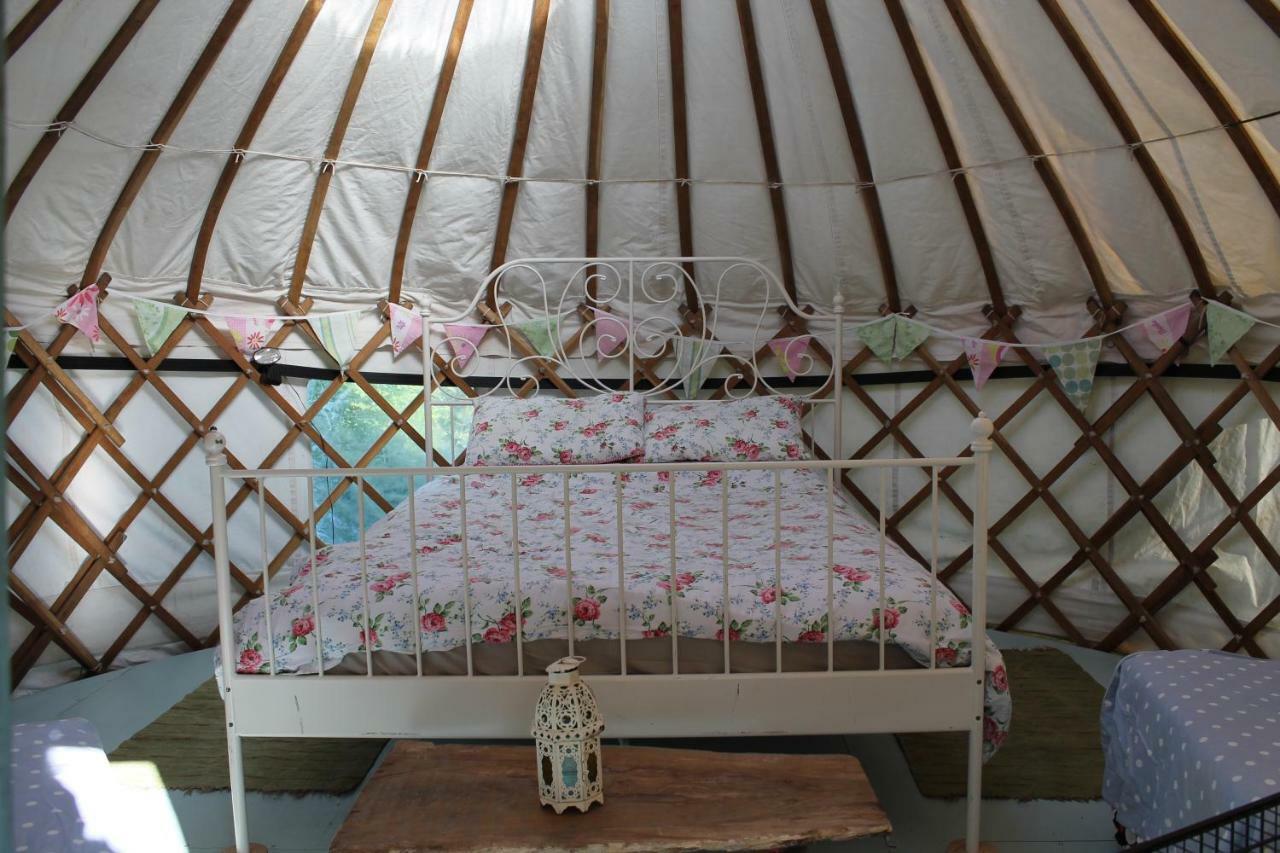 Mill Haven Place Glamping-yurt 1 Luxury tent 2*