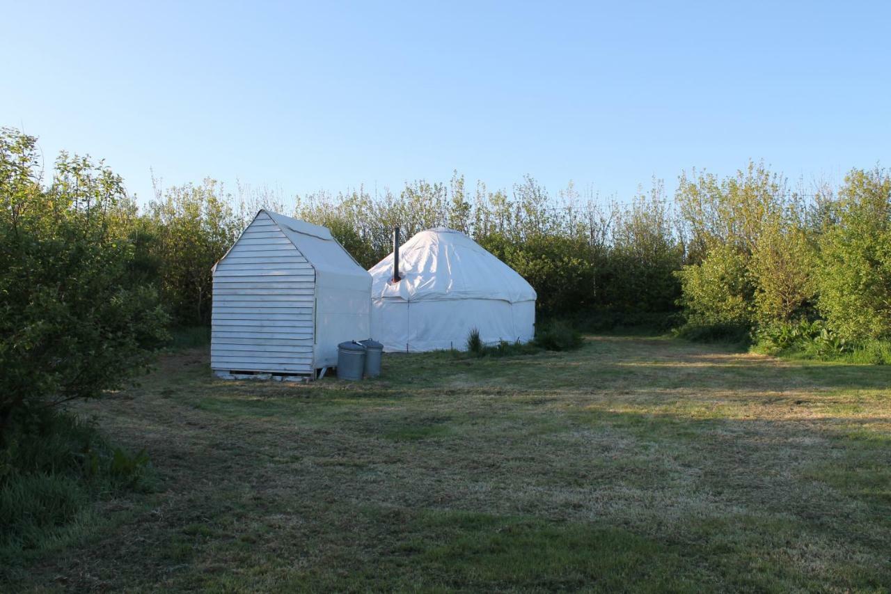 Mill Haven Place Glamping-yurt 1