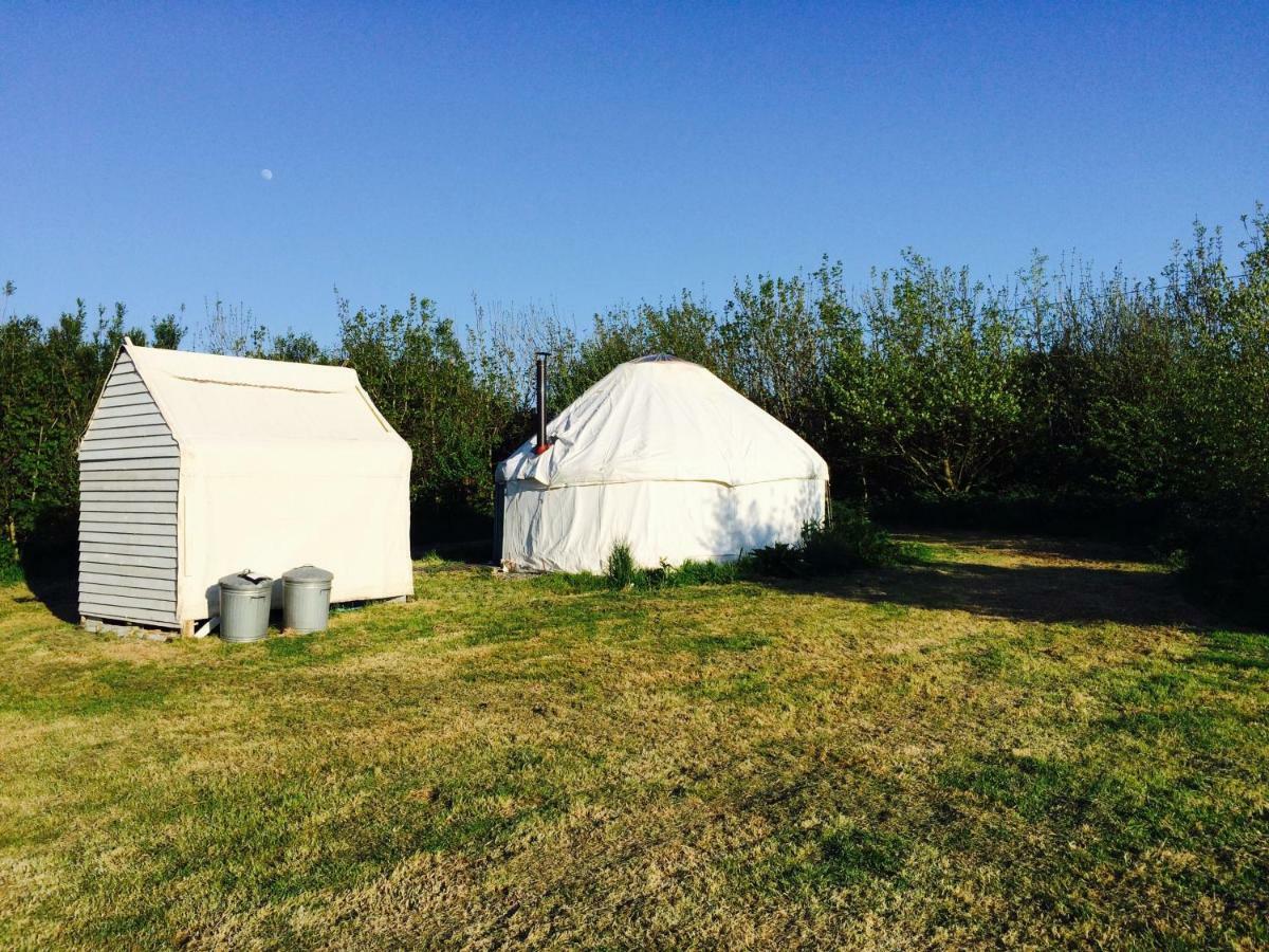 Luxury tent Mill Haven Place Glamping-yurt 1 Talbenny
